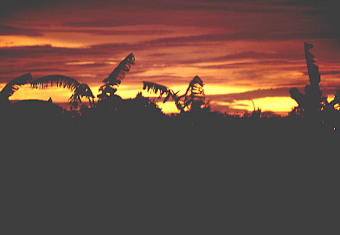 Sunset.jpg (21075 bytes)